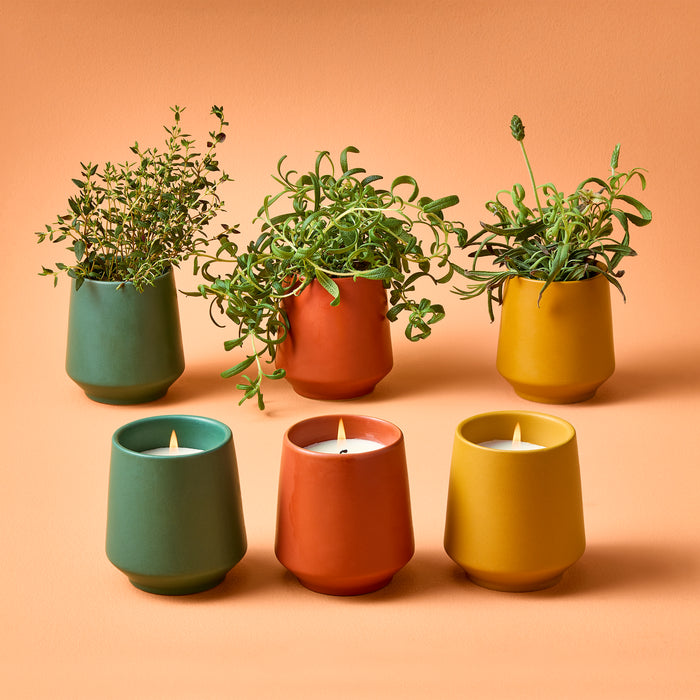 Colorful ceramic candles in green, orange, and yellow pots, with herbs growing in some, set against an orange background.