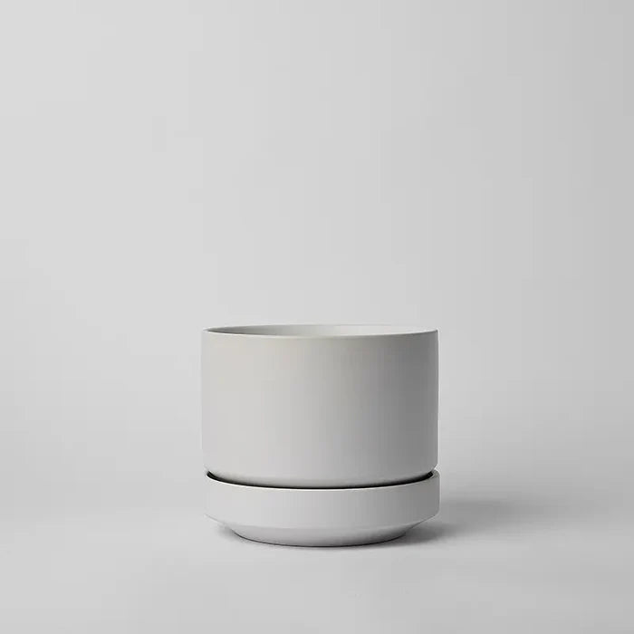 White / 6 Inch