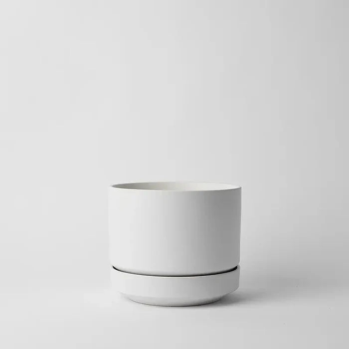 White / 8 Inch