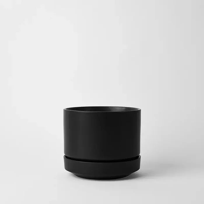 Black / 8 Inch