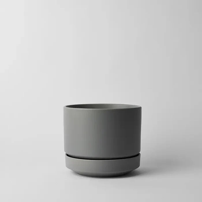 Gray / 8 Inch