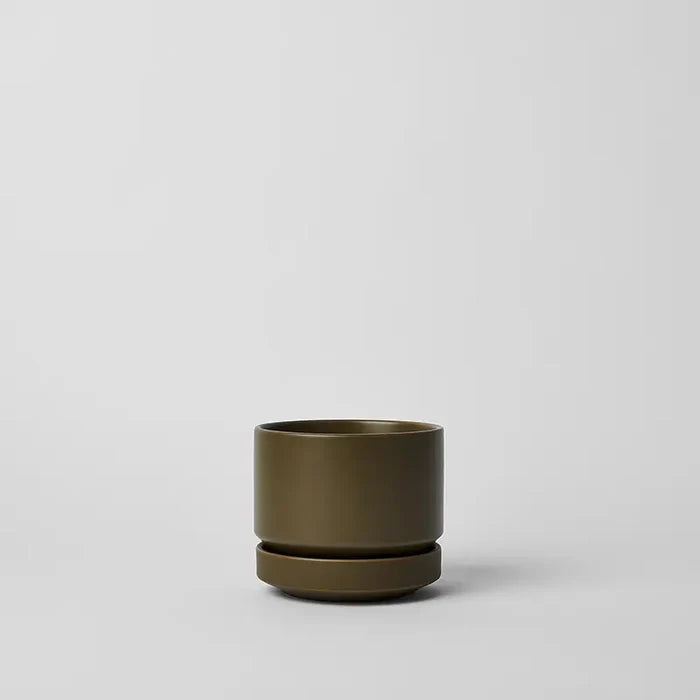 Olive / 4 Inch
