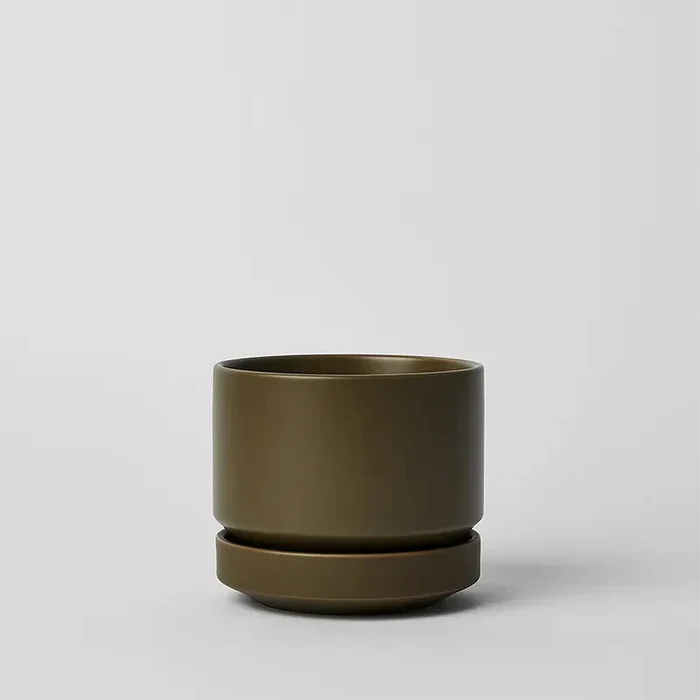 Olive / 8 Inch