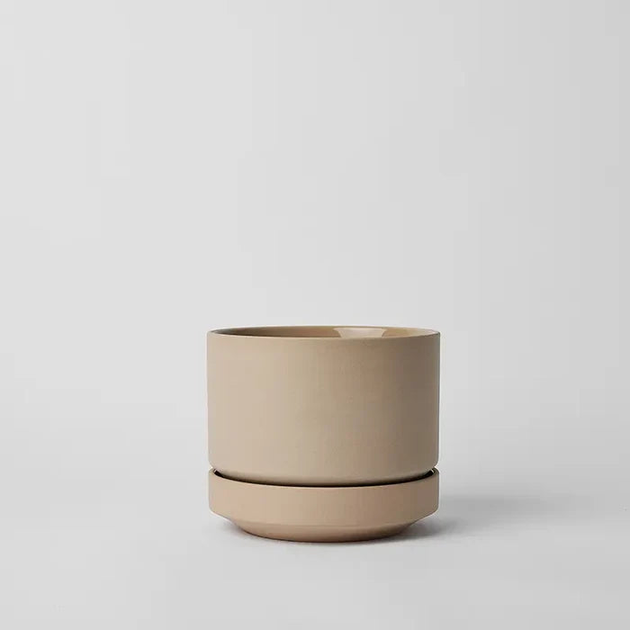 Oatmeal / 6 Inch