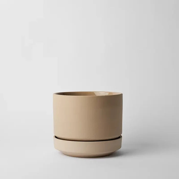Oatmeal / 8 Inch