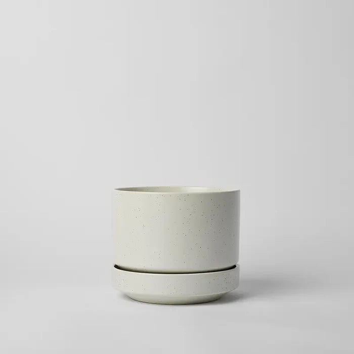 Cream Speckle / 6 Inch