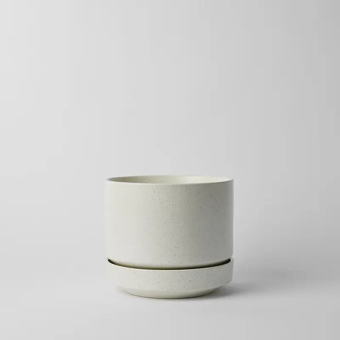 Cream Speckle / 8 Inch