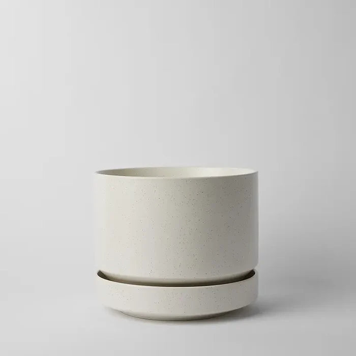 Cream Speckle / 10 Inch