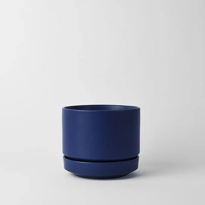 Midnight Blue / 8 Inch