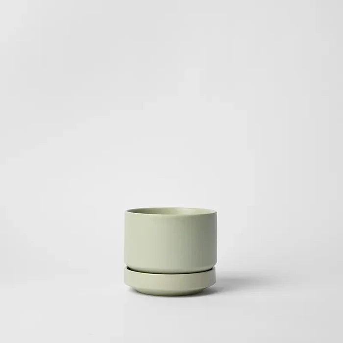 Mint / 4 Inch