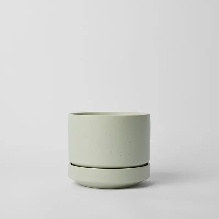 Mint / 6 Inch