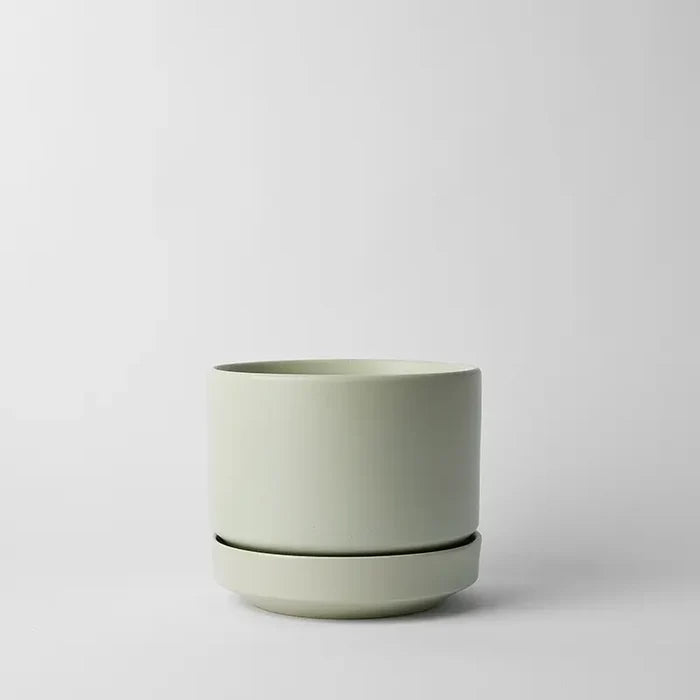 Mint / 8 Inch