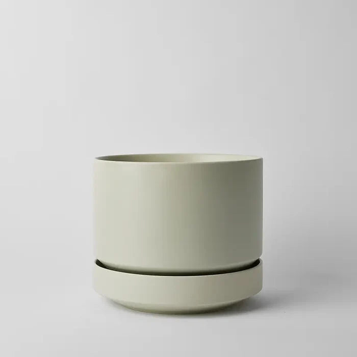 Mint / 10 Inch