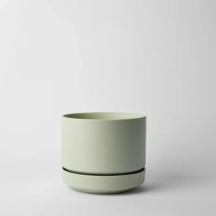 Speckled Mint / 8 Inch