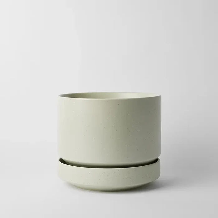Speckled Mint / 10 Inch