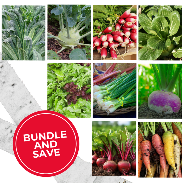 Seed Tape Bundle