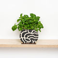 Shapes Pot Screen |Studio Wald