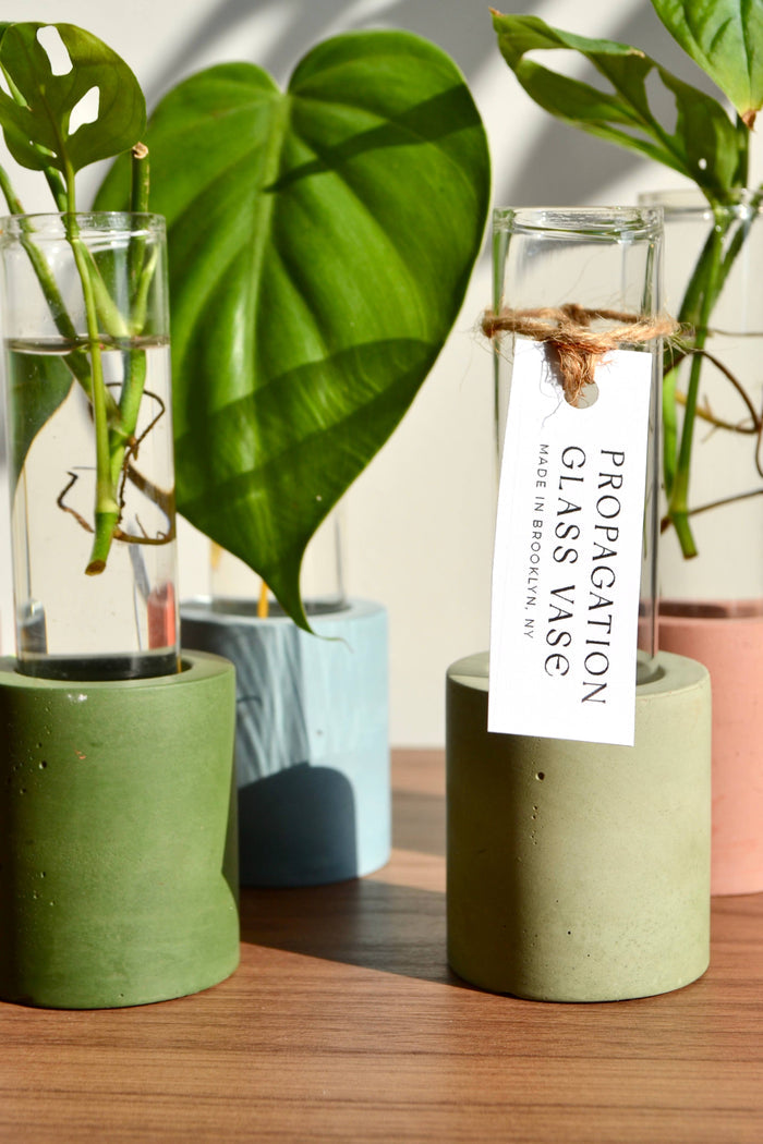 Single Concrete Plant Propagation Test tube Stand