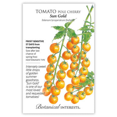 Sun Gold Pole Cherry Tomato | Botanical Interests
