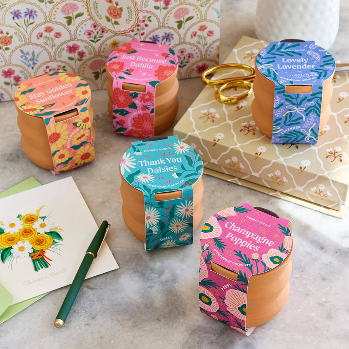 Tiny Terracotta Grow Kits | Modern Sprout