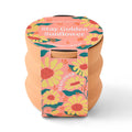 Tiny Terracotta Grow Kits | Modern Sprout