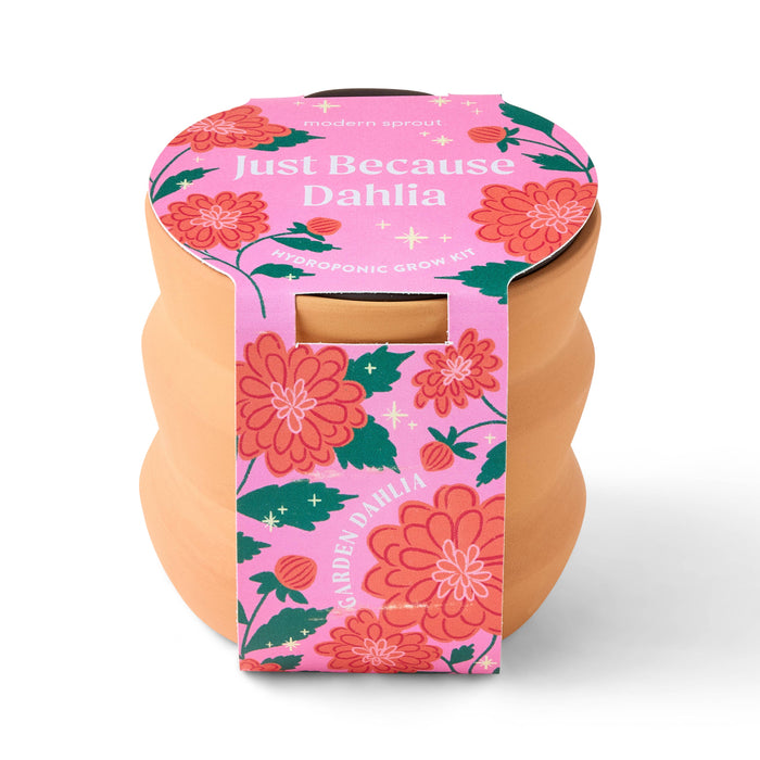 Tiny Terracotta Grow Kits | Modern Sprout