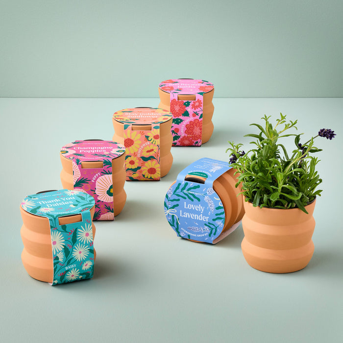 Tiny Terracotta Grow Kits | Modern Sprout