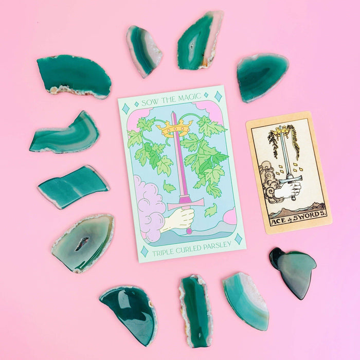 Triple Curled Parsley | Tarot Seed Packet | Sow the Magic