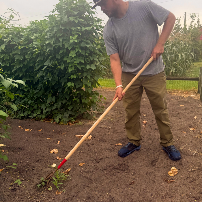 Man gardening with a Triple Tine Cultivator in a garden setting
