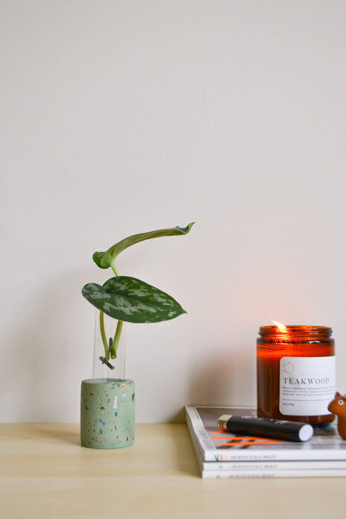 Zero Waste Terrazzo Single Propagation Test Tube Plant Stand | LindaMakes
