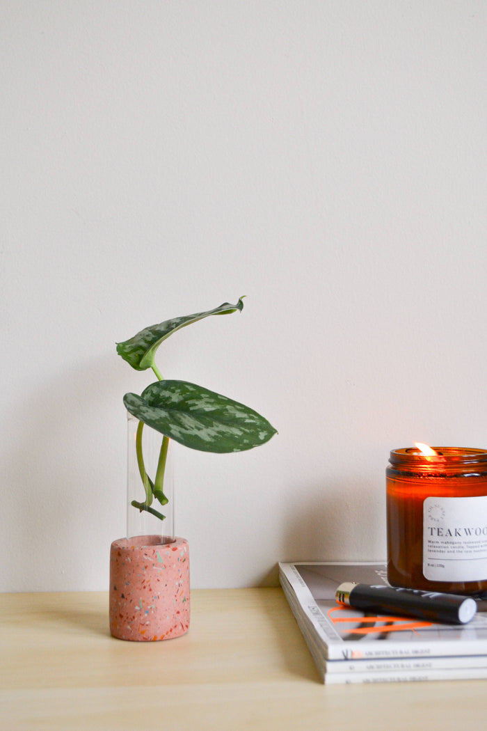Zero Waste Terrazzo Single Propagation Test Tube Plant Stand | LindaMakes