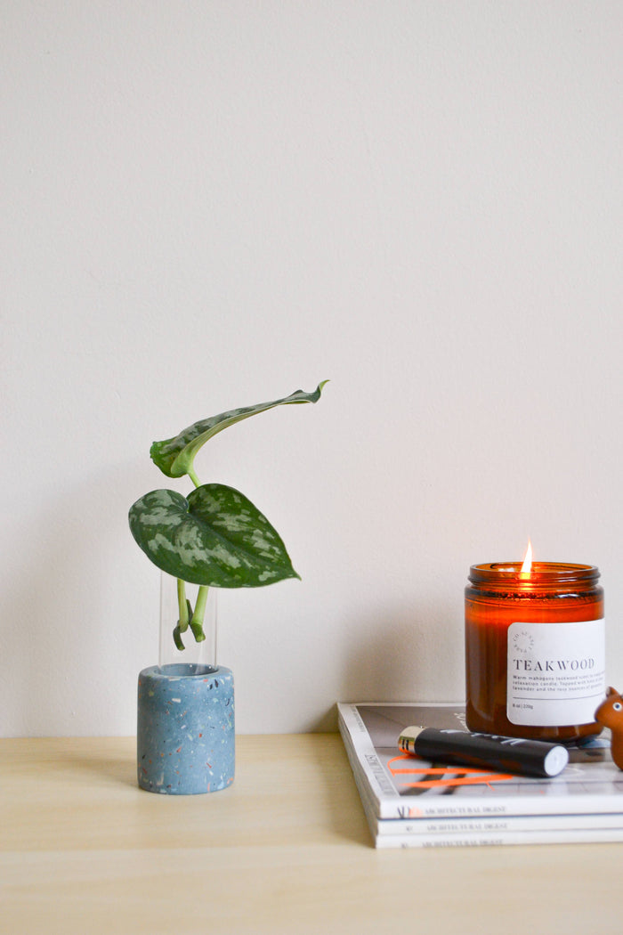 Zero Waste Terrazzo Single Propagation Test Tube Plant Stand | LindaMakes