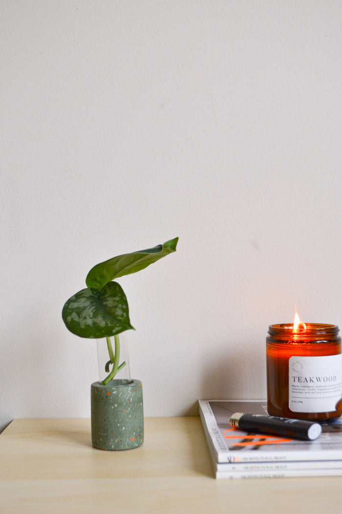 Zero Waste Terrazzo Single Propagation Test Tube Plant Stand | LindaMakes