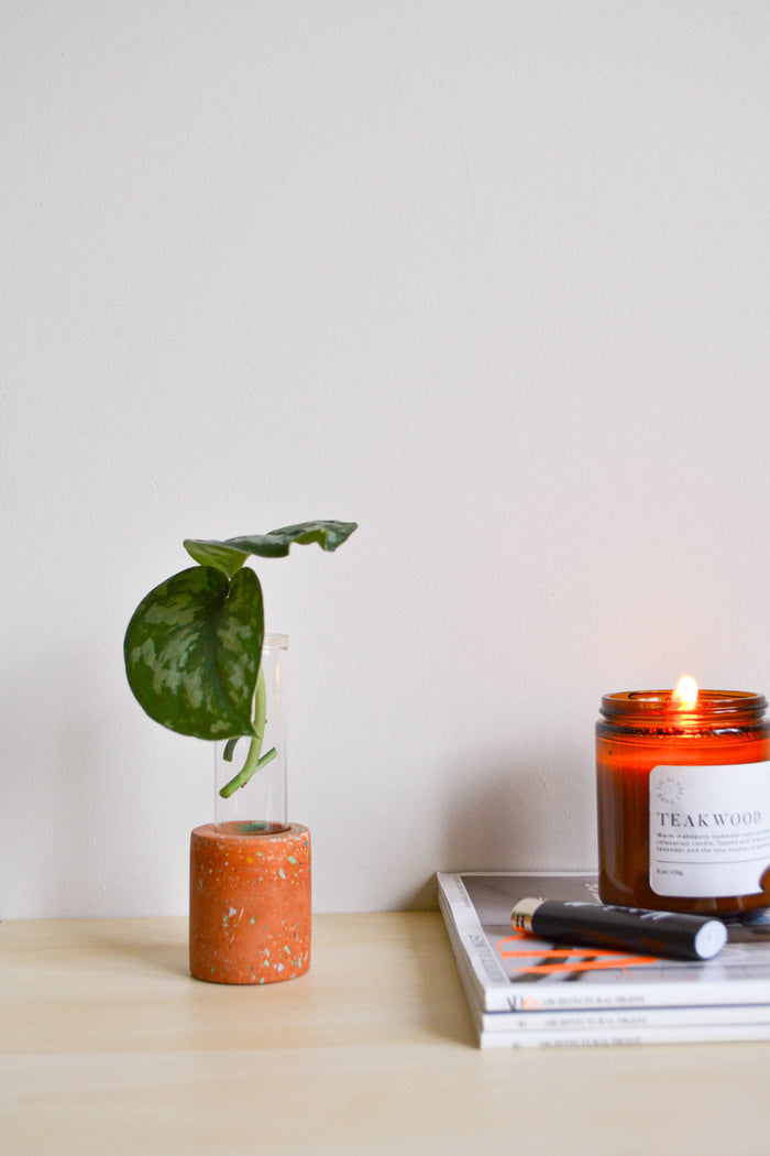 Zero Waste Terrazzo Single Propagation Test Tube Plant Stand | LindaMakes