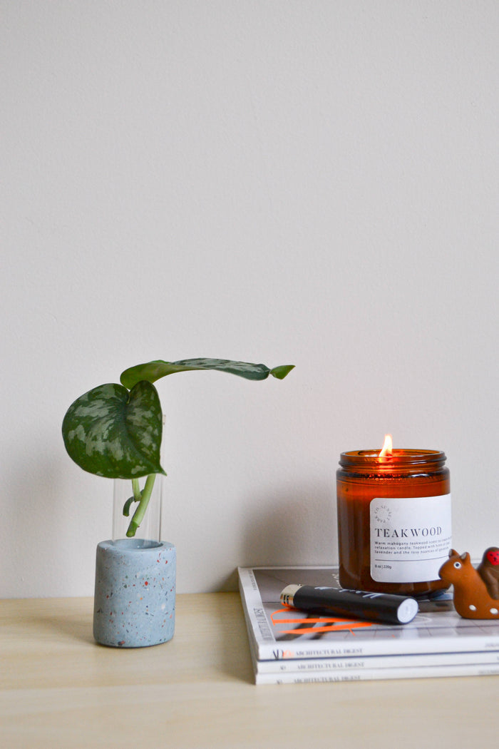Zero Waste Terrazzo Single Propagation Test Tube Plant Stand | LindaMakes